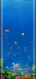 Aquarium and Fish