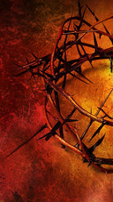 Crown of Thorns Red