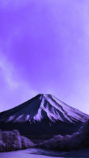 Majestic Violet Horizon