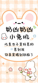 奶凶奶凶小兔叽