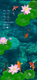 锦鲤戏荷