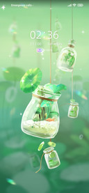 Wishing Bottle