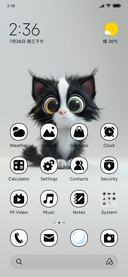 fluffy cat