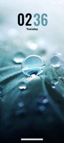 Rainy Windows