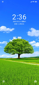 护眼一颗孤独的树