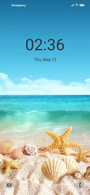 Shell wave