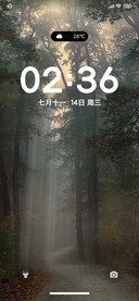 简约夏 绿色森林
