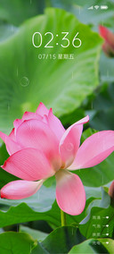 婉荷