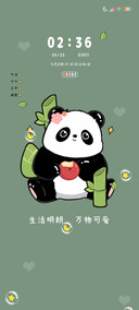 多图胖胖小熊猫