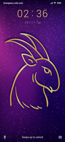 Capricorn_3MDP