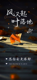 风又起叶落地