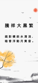 腾祥大黑繁