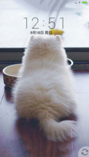 猫猫咪啊。