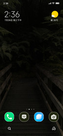 Forest Crossing
