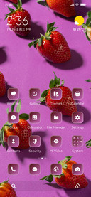 Strawberries