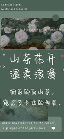 山茶花开温柔浪漫