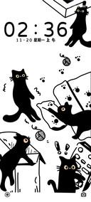 顽皮黑猫