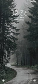 雨季雨林深色