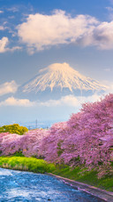 Scenery  (6)