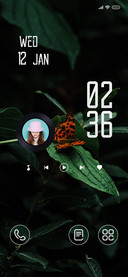 Wild_1