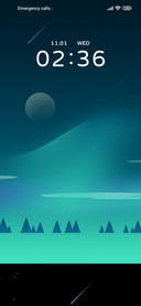 Forest aurora