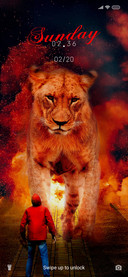 Lion_DWM20