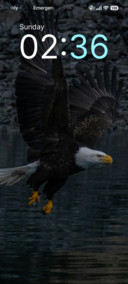 Freedom Glide
