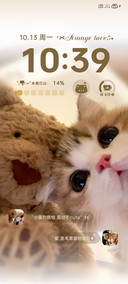 简约 小猫探头