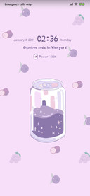 Fruit Bobo Soda