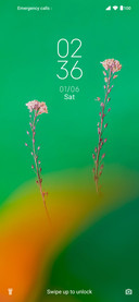 Flat Green