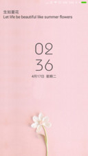 生如夏花