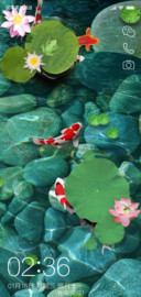 新年转运锦鲤