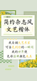 简约杂志风文艺楷体