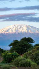 Why are the equatorial snowcapped mountains disappearing