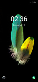 Simple feather