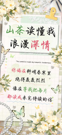 山茶读懂我浪漫深情