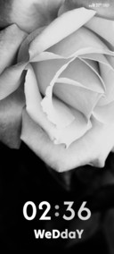 Rose Close Up