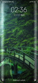 Bridge_Forest