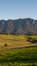 Manian alpine meadow