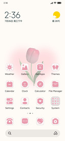 3D tulip romance