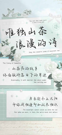 唯独山茶浪漫的诗