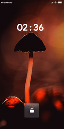 MUSH_DWM2