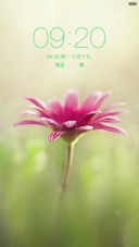 花漾