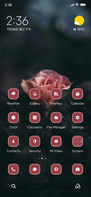 Flower Blossom