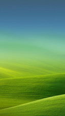 Nice Landscape