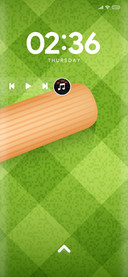 Cricket_25