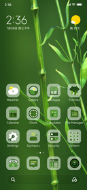 Green bamboo