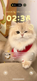 景深重感猫咪甜心