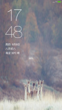 萌宠