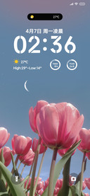ins星辰花